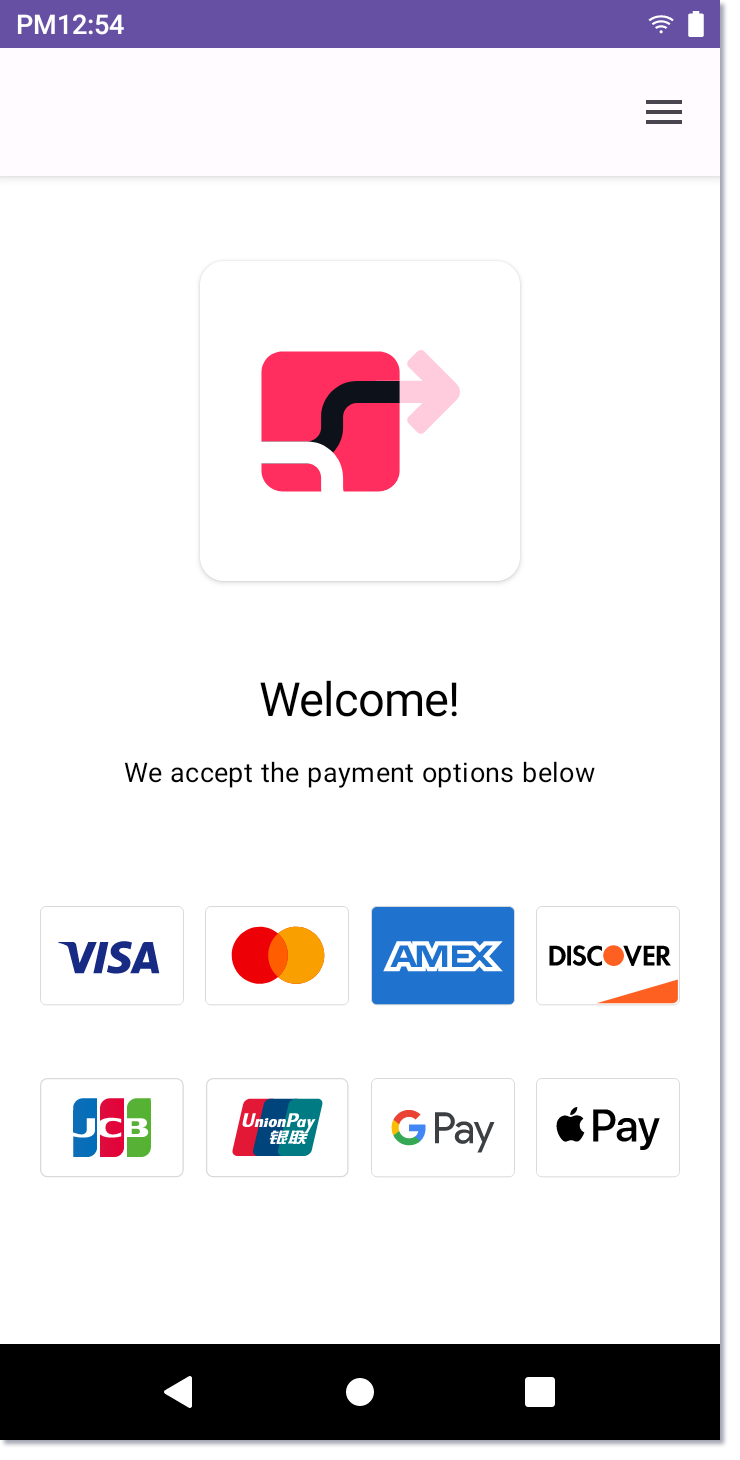 PAX A800 payment app welcome page